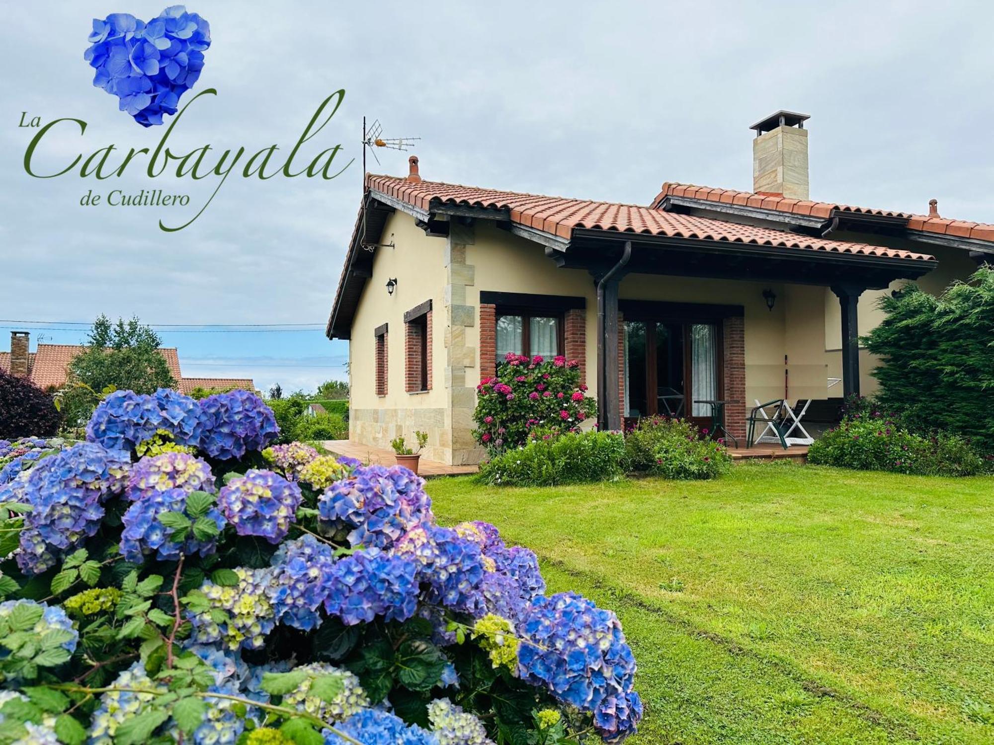 Apartamentos Rurales La Carbayala Oviñana Eksteriør billede