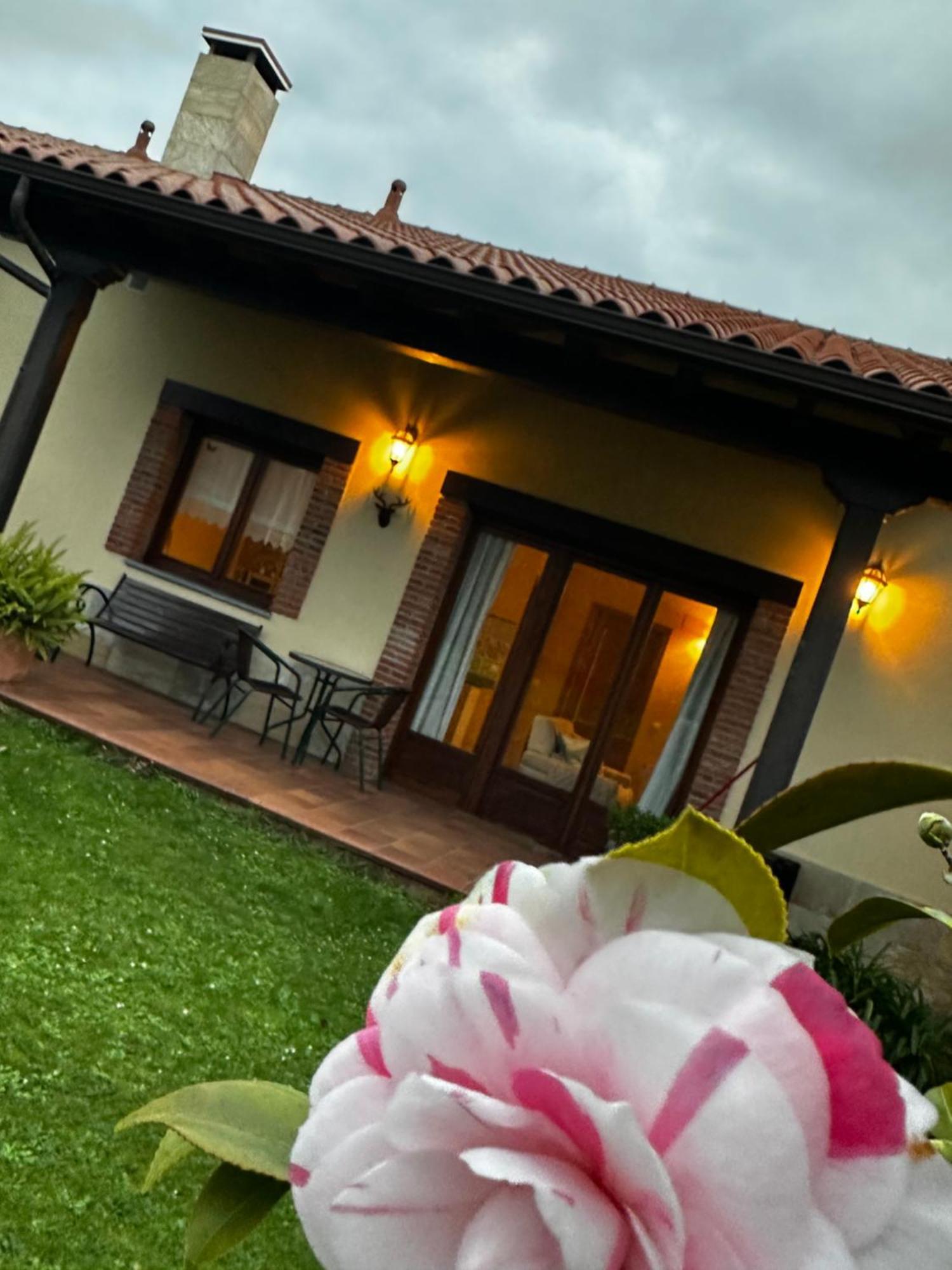 Apartamentos Rurales La Carbayala Oviñana Eksteriør billede